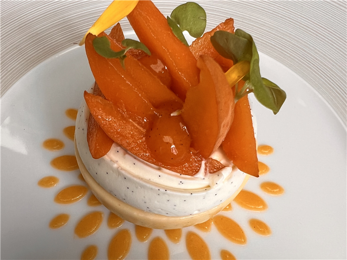 apricot dessert